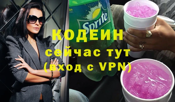 дживик Бородино