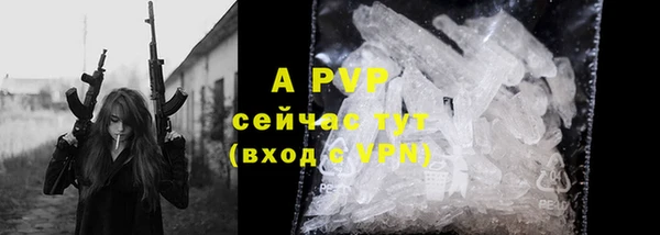 индика Тобольск
