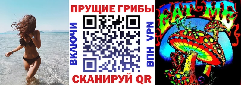 Галлюциногенные грибы Psilocybine cubensis  Голицыно 